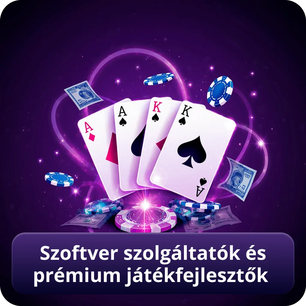 Szoftver szolgáltatók és prémium játékfejlesztők